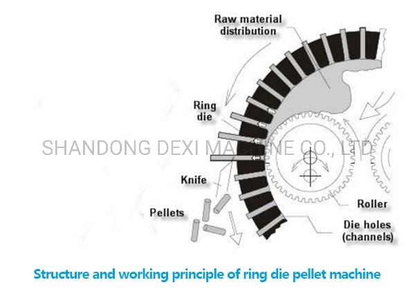 132kw 2 Ton/Hour Vertical Ring Die Big Capacity Industry Using Biomass Pelletizing Wood Pellet Press Making Pelletizer Mill Machine